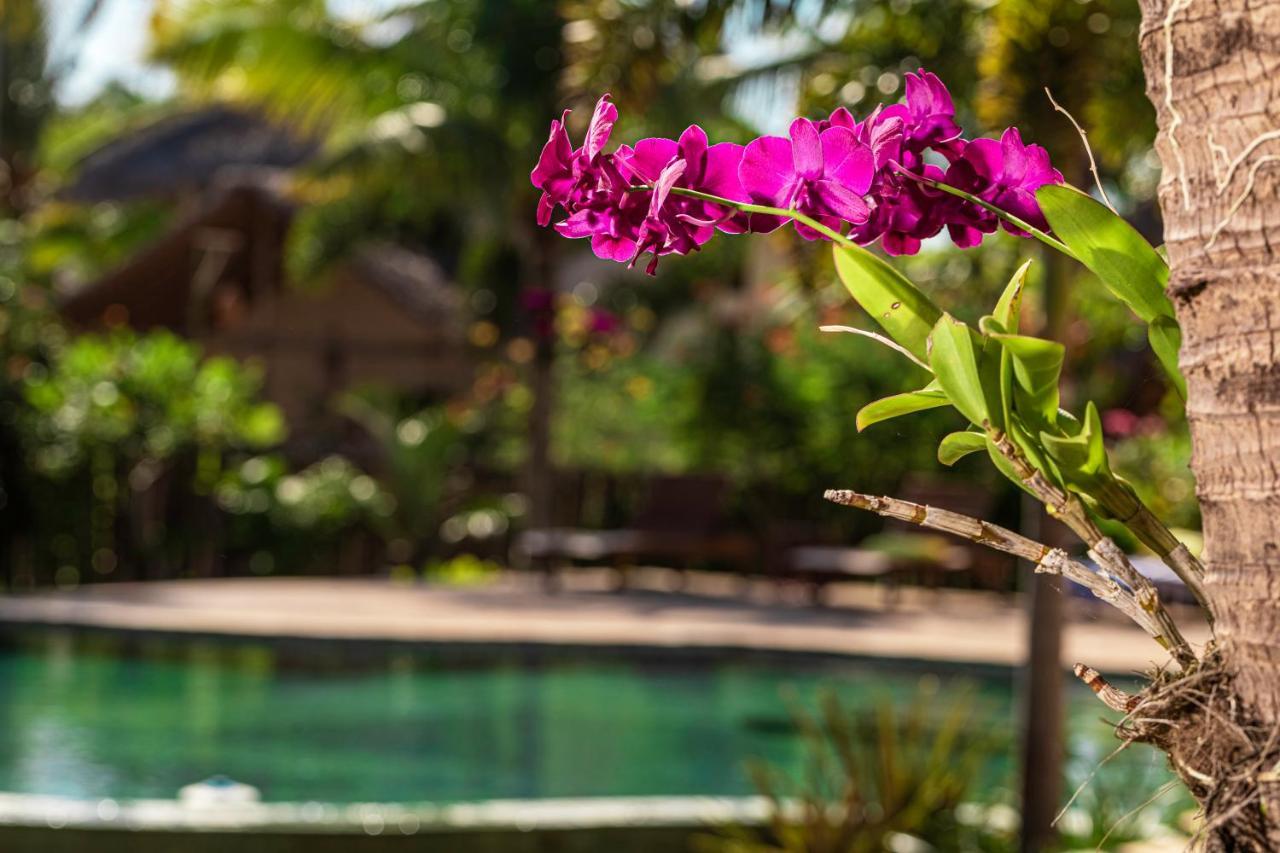 Ventura Barra Grande Hotel Barra Grande  Bagian luar foto